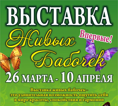 Выставка «Живые бабочки» открылась в Канашском краеведческом музее