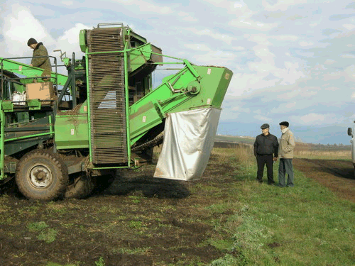 Глава администрации района И.Г.Майоров объехал сельхозтоваропроизводителей района в целях оперативного завершения уборки картофеля и овощей