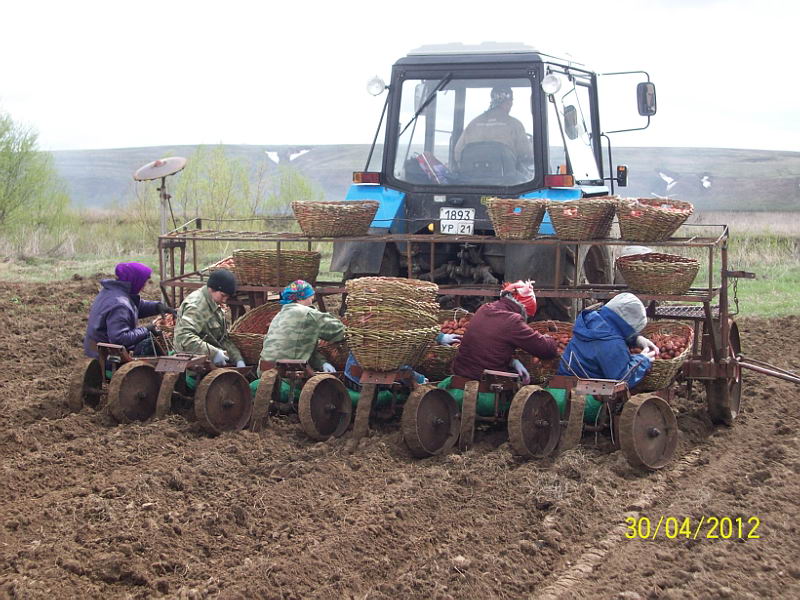 11:45. Весенние полевые работы в Козловском районе набирают темп