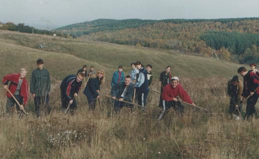 Козловские школьники заняты дополнением лесных культур