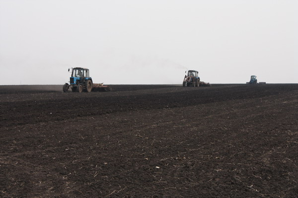 О ходе весенних полевых работ в Комсомольском районе