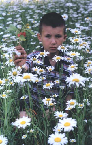 Подведены итоги районного фотоконкурса «Мой край родной»