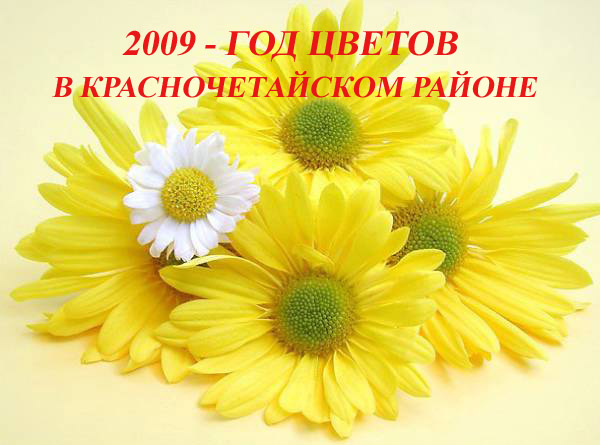 15:03 На официальном сайте Красночетайского района новый баннер  - «2009 - Год цветов в Красночетайском районе»