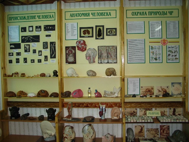 Музею природы и экологии Красночетайской СОШ присуждено 3 место по итогам республиканской акции «Музей и дети»