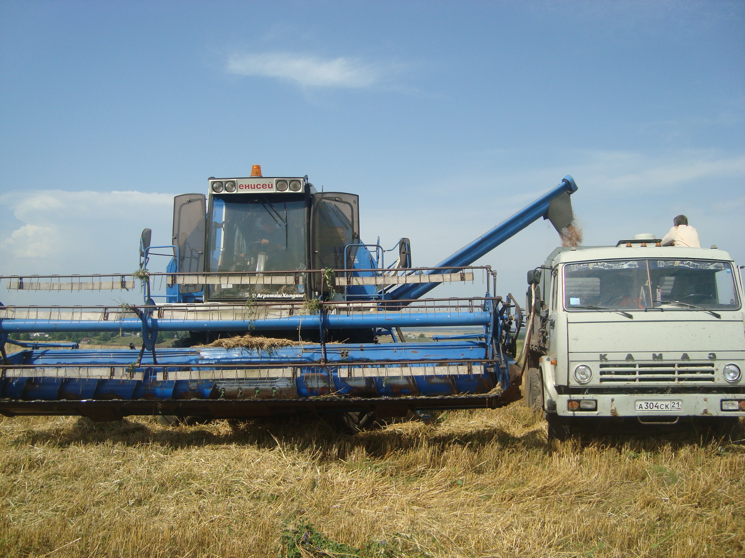 В Красночетайском районе приступили к уборке зерновых культур