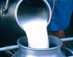 Информация по производству и реализации молока по району