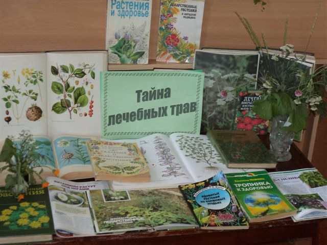 Тайна лечебных трав
