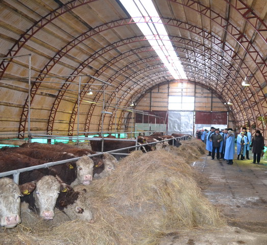 15:33 Министр сельского хозяйства Чувашии Сергей Павлов принял участие в открытии новой семейной животноводческой фермы в Порецком районе