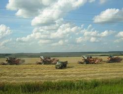 В Порецком районе  уборка зерновых завершена