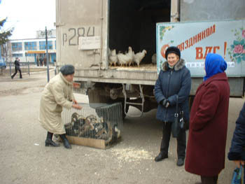 Выставка - распродажа в рамках Дня сельского хохяйства и перерабатывающей продукции