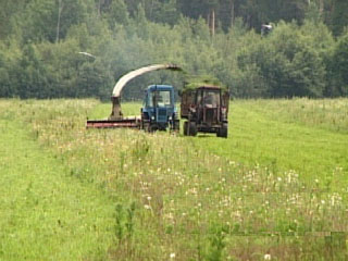 16:28 О заготовке кормов хозяйствами Урмарского района по состоянию на 14 июля 2004 года