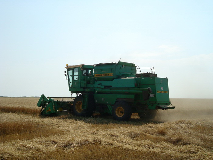 В Шемуршинском районе намолочено 19205 тонн зерна