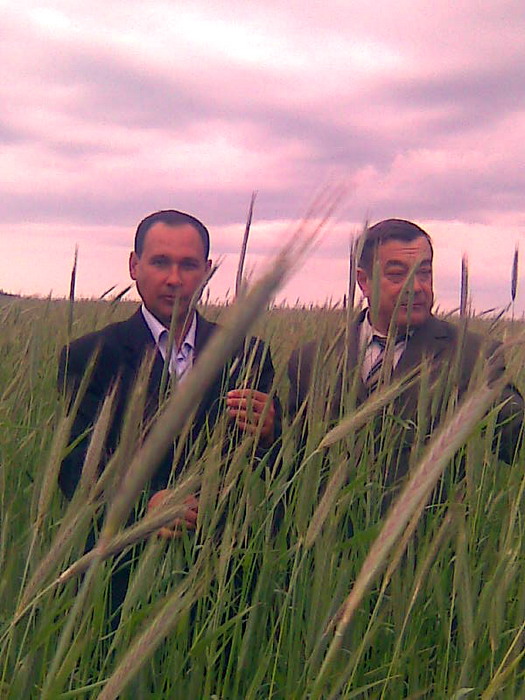 17:17 На полях сельхозпредприятий Шемуршинского района прошла приёмка посевов