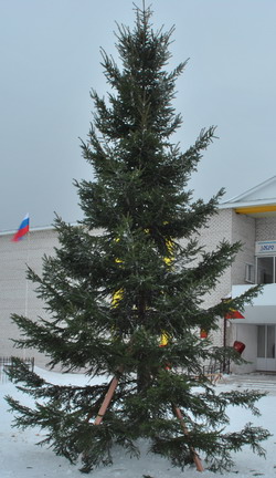 17:26 На центральной площади села Шемурша установлена лесная красавица - новогодняя ель