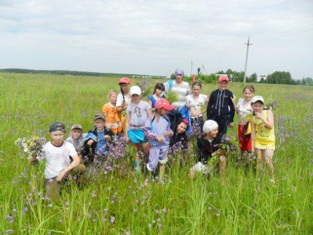 Детские оздоровительные лагеря пользуются популярностью у юных жителей Шемуршинского района