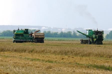 На полях Шемуршинского района началась уборка зерновых