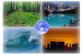2013 год в России объявлен Годом охраны окружающей среды