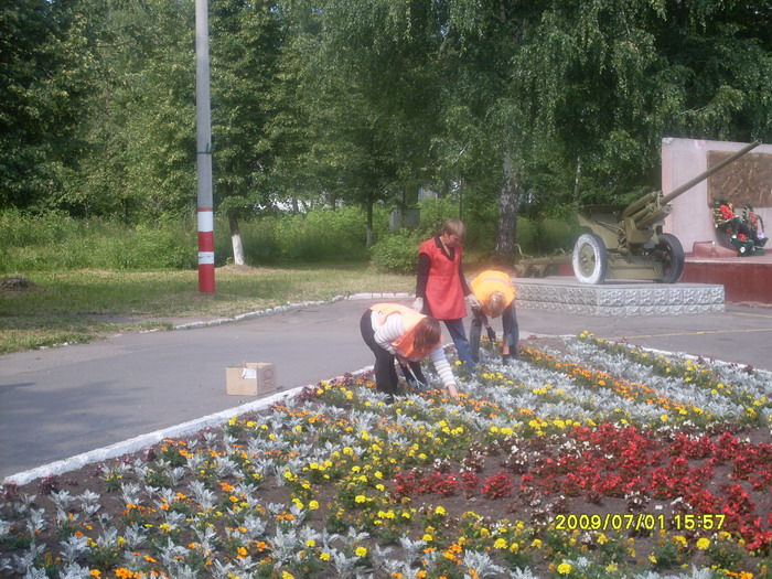 Цветники в благодарность, отвечают бурным цветением