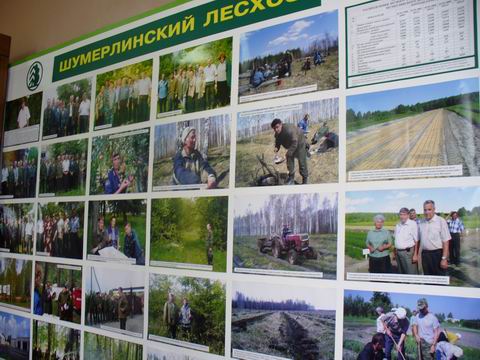 Администрация Шумерлинского района поздравляет с Днем работников леса!