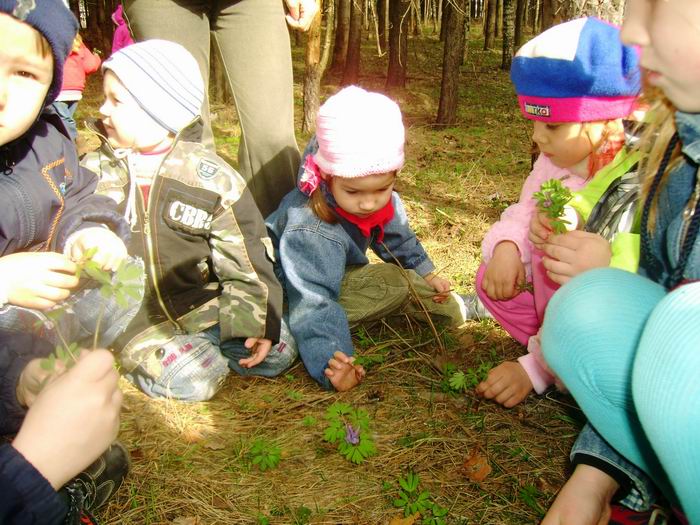 Первоцветы – вестники весны