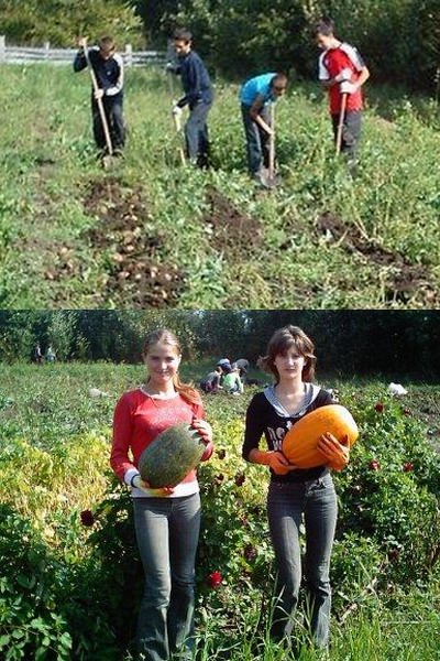 Осенний день год кормит