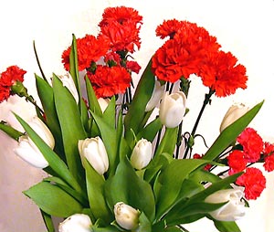 <font color="#FF0000"><u><b>Поздравление главы Шумерлинского района В.Мурашкина с международным женским днем