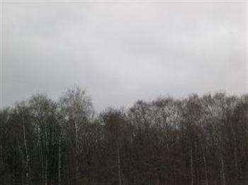 Хмурый по жизни ноябрь