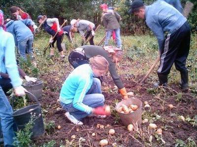 Всегда найдётся дело для умелых рук