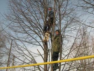 День птиц в Туванской школе