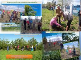 В образовательных учреждениях Шумерлинского района подведены итоги акции "День дерева"