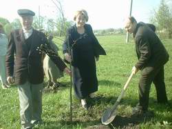 В Шумерлинском районе весной 2005 года посажено всего 29730 саженцев деревьев