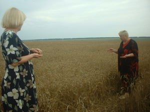 16:18 В СХПК "Комбинат" Шумерлинского района горячая пора