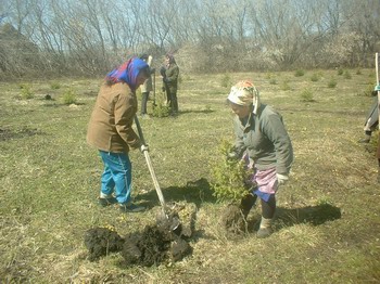 Торханцы благоустраивают и озеленяют территорию поселения