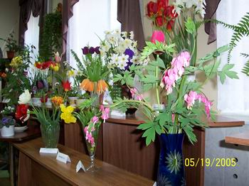 Выставку весенних цветов «Цветы победителям» посетило свыше 150 человек