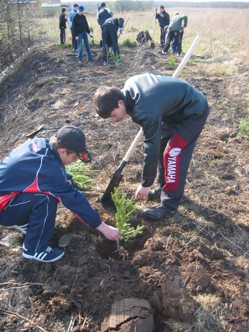 В Ядрине дан старт акции «Посади дерево и сохрани его»