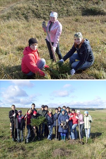 Учащиеся Верхнеачакской СОШ Ядринского района посадили 1500 деревьев