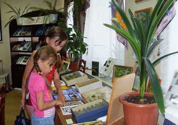 В Ядринской центральной библиотеке открылась выставка бабочек