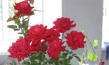 15:02 Накануне Дня города в Ядрине открылась выставка осенних даров «Планета цветов»