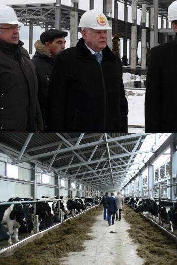 08:56 За 11 месяцев во всех категориях хозяйств Ядринского района произведено молока более 40,2 тысяч тонн, мяса 5,3 тысяч тонн