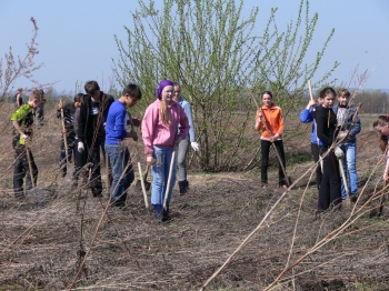 День Дерева в Ядринском районе: посажено более 6000 тысяч саженцев сосен,  липы, дуба, туи