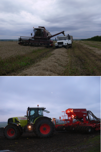 В целях своевременного завершения кампании по уборке зерновых и зернобобовых культур аграрии Ядринского района трудятся в две смены