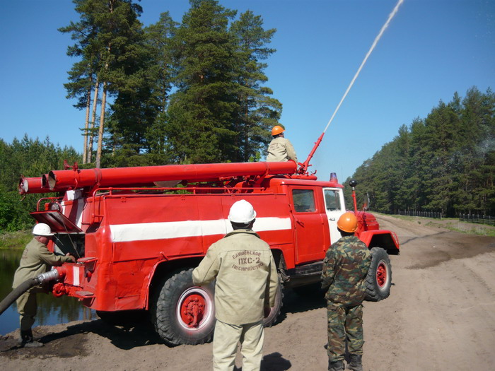 Убережем леса от пожаров