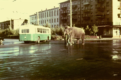 15:57 Завершился фотоконкурс «Я и мой город»