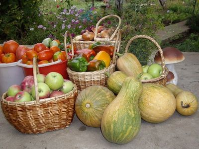 14:03 Продукция растительного происхождения нового урожая продолжает поступать на ярмарки «Дары осени»