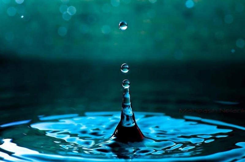 Сегодня Всемирный день водных ресурсов