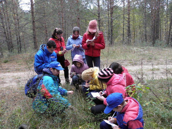 Школьники изучают осенний лес