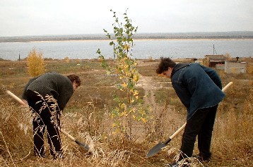 День Дерева  –  в Ивановском микрорайоне