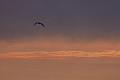 114.jpg
