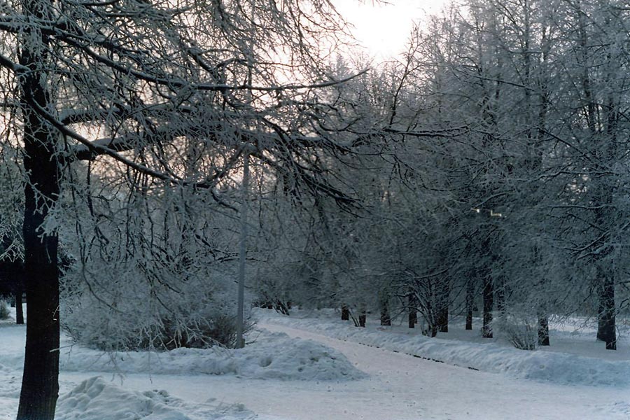 04.jpg