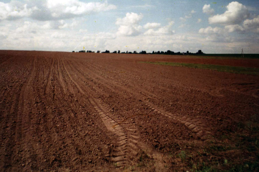 58.jpg